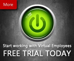 virtual-assistant-web-developer-trial